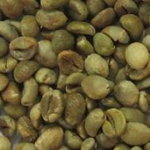 Vietnam robusta coffee bean quotation